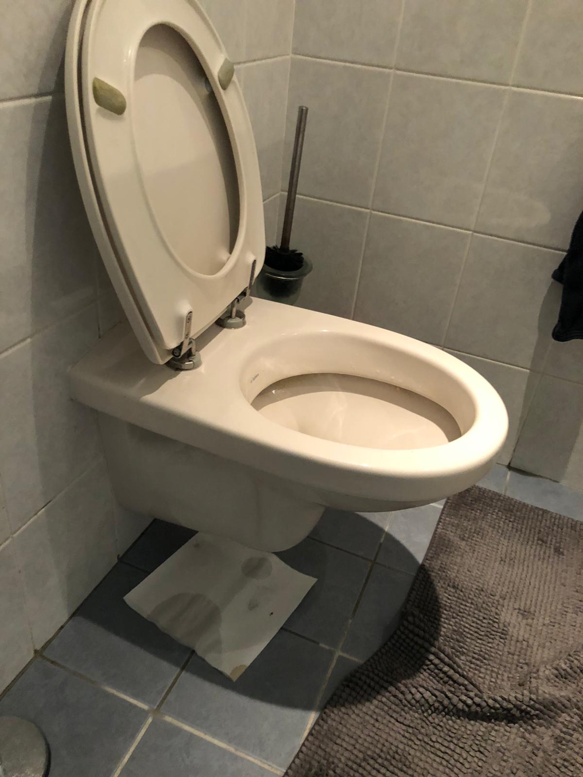 hangtoilet Sassenheim
